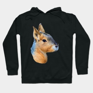 Mara Hoodie